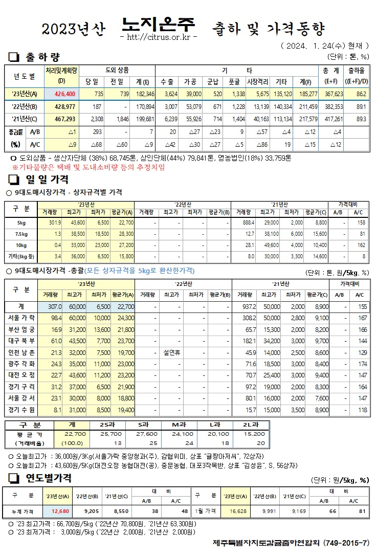 [노지온주]2023년산 출하 및 가격동향(1/24)