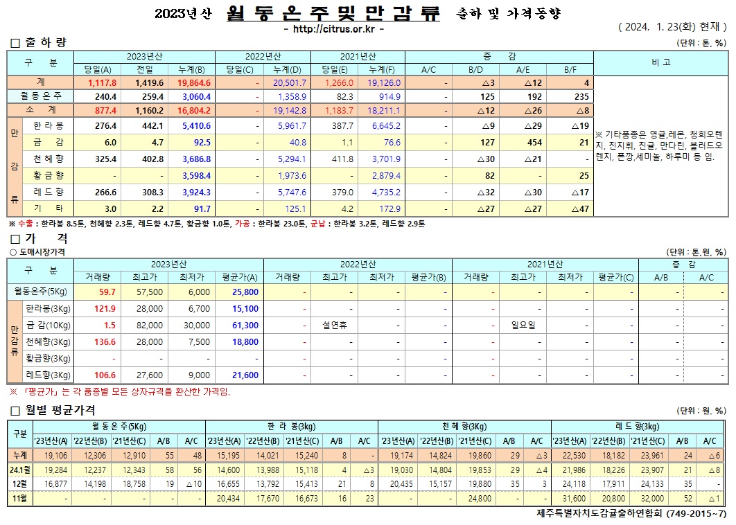 [월동&만감]2023년산 출하 및 가격동향(1/23)