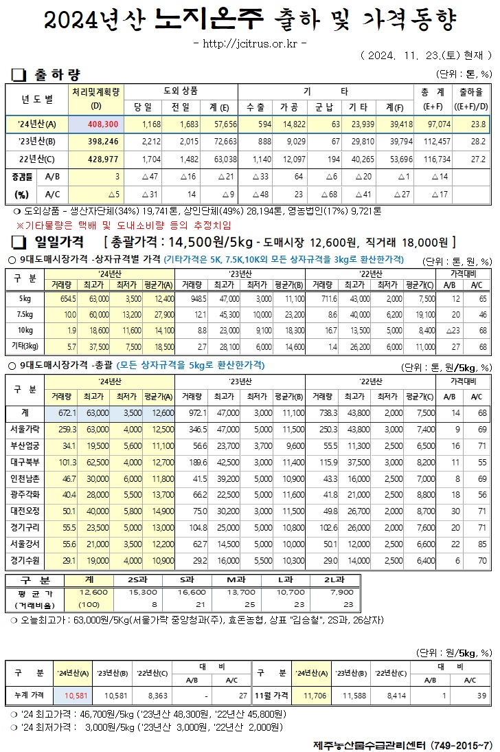 [노지온주]2024년산 출하 및 가격동향(11/23)