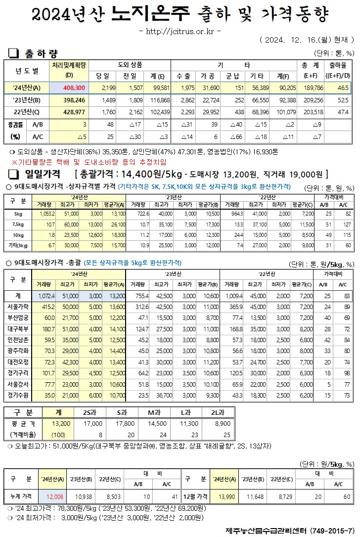 [노지온주]2024년산 출하 및 가격동향(12/16)