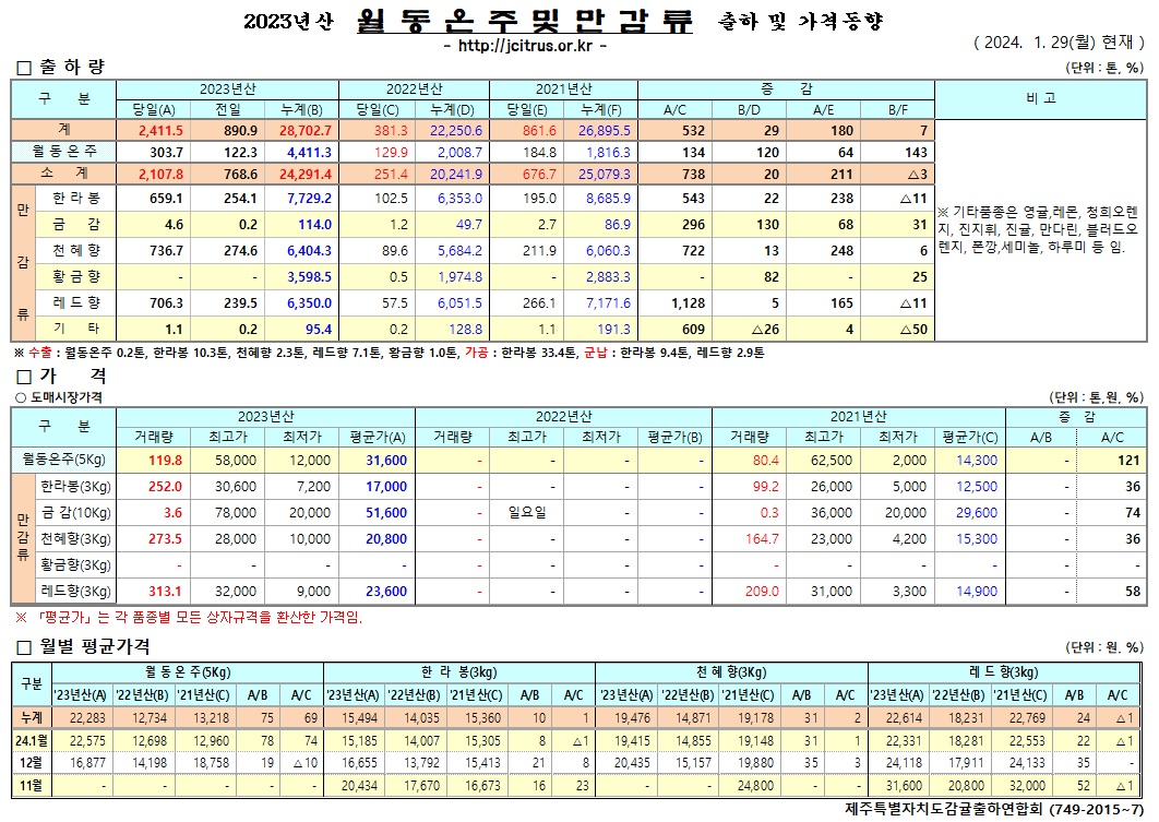 [월동&만감]2023년산 출하 및 가격동향(1/29)
