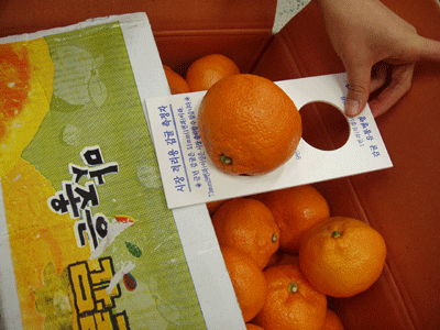 [보도]인터넷쇼핑몰을 통한  비상품 감귤 유통 행위 적발