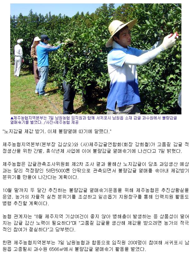 감귤 제값은 '불량과 따기'가 관건