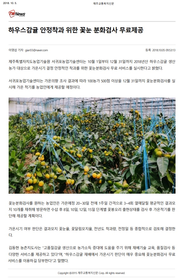 하우스감귤 안정착과 위한 꽃눈 분화검사 무료제공