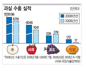 국산 감귤 2010년 美 본토 상륙… 검역 협상 마무리 단계