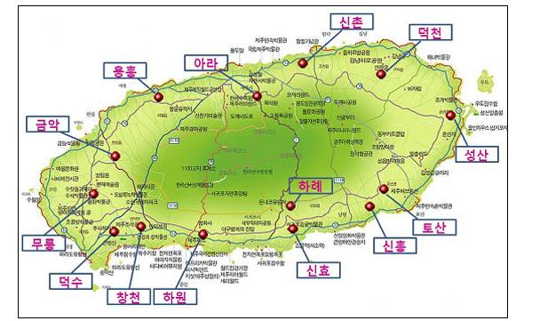 올해산 노지감귤 최근 3년 중 가장 품질 뛰어나