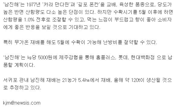 제주 농가 고당도 감귤 신품종 '남진해' 첫 출하