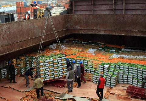 북한에 감귤 줬더니 … 김정일이 선물로 썼다