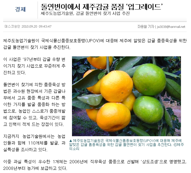 돌연변이에서 제주감귤 품질 ‘업그레이드’