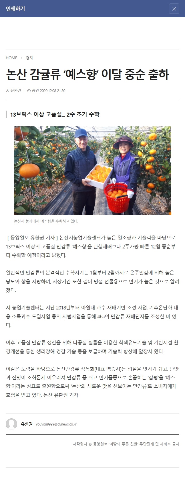 논산 감귤류 ‘예스향’ 이달 중순 출하