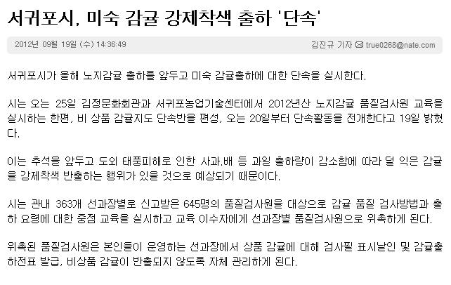 서귀포시, 미숙 감귤 강제착색 출하 '단속'