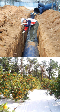 농업 생산비를 줄이자 (22)·끝-자신만의 효율적 생산기술 개발 … 비용절감 실천