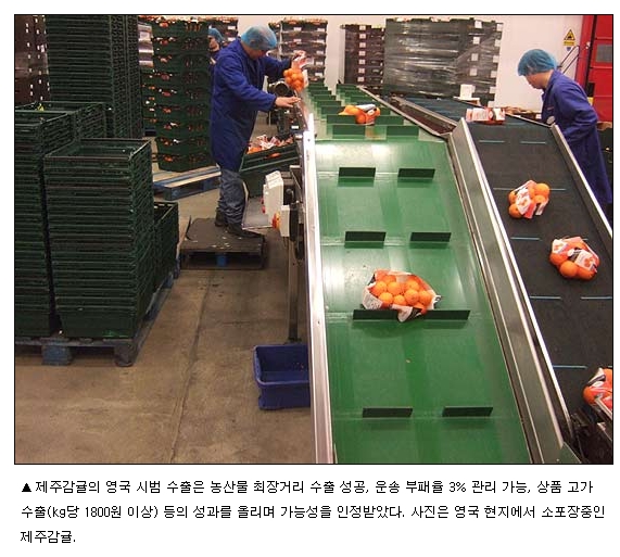 제주 감귤, 세계인의 브랜드로 키운다