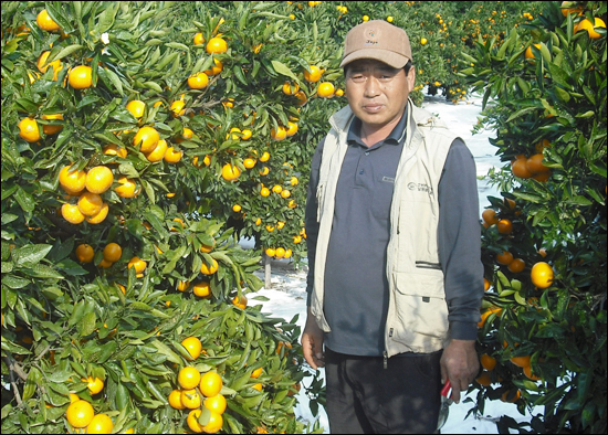 제주 최고의 감귤 생산자는 누구？