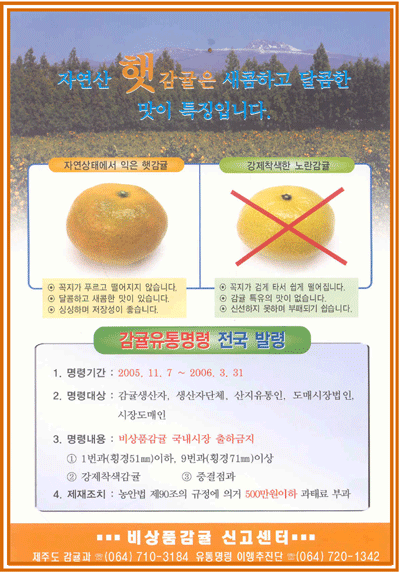 2005년 감귤유통명령 전국 발령