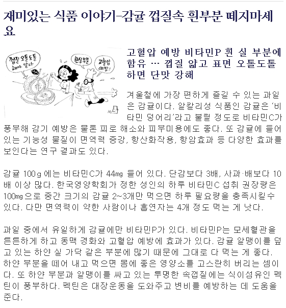재미있는 식품 이야기-감귤 껍질속 흰부분 떼지마세요