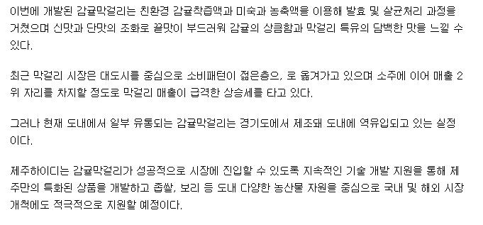 제주산 감귤 막걸리 개발