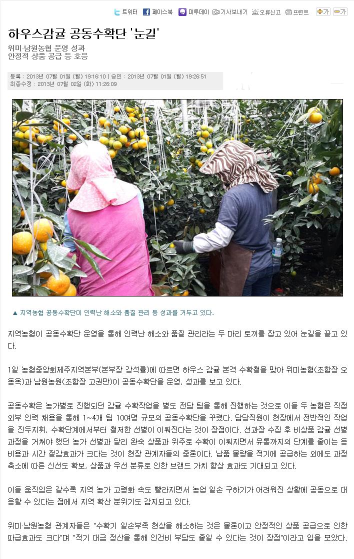 하우스감귤 공동수확단