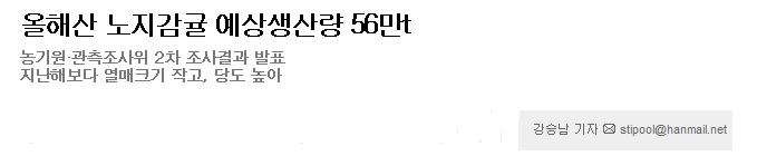 올해산 노지감귤 예상생산량 56만t