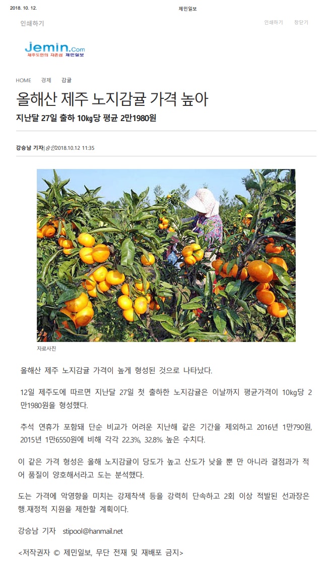 올해산 제주 노지감귤 가격 높아