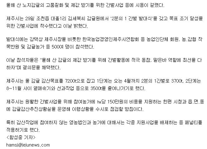 제주시, 감귤원 2분의 1 간벌 ‘본격 시동’