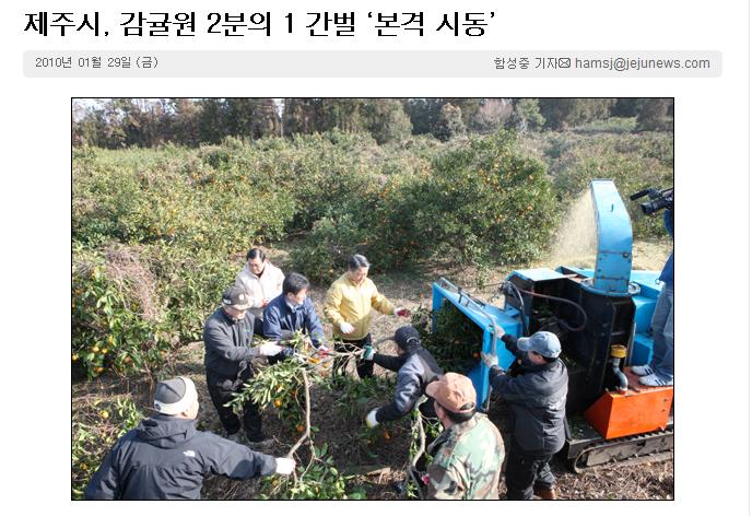 제주시, 감귤원 2분의 1 간벌 ‘본격 시동’