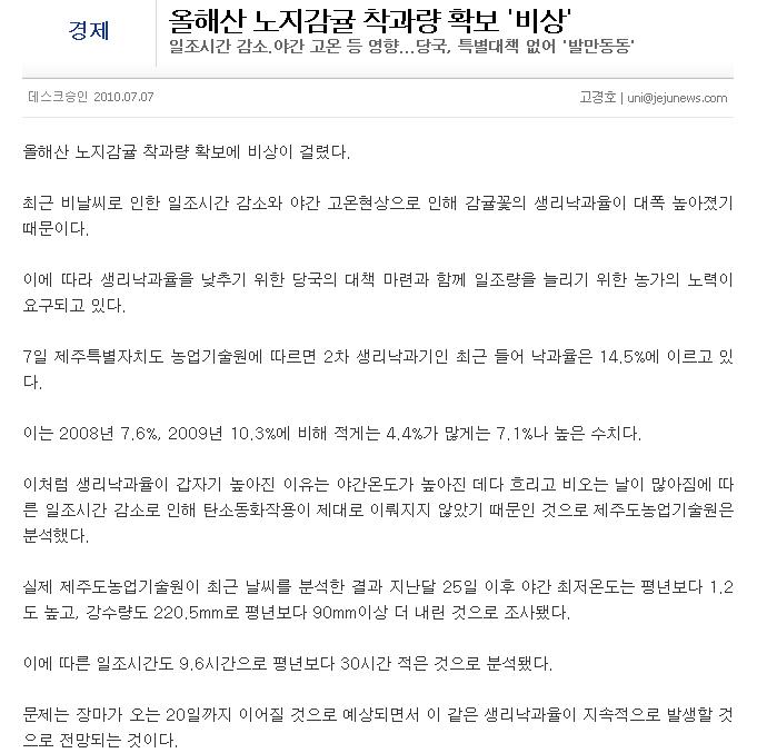 올해산 노지감귤 착과량 확보 '비상'