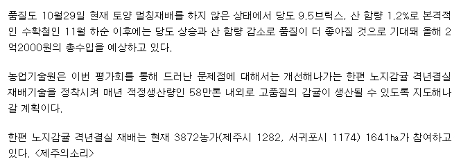 제주감귤 ‘격년결과’재배 해보니…소득 2배‘껑충’