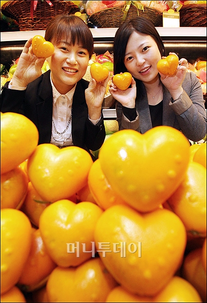 하트모양 제주 노지감귤 만나보세요!