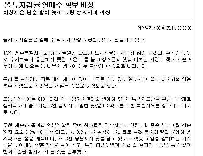 올 노지감귤 열매수 확보 비상