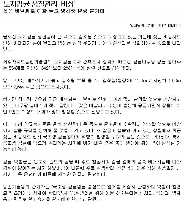 노지감귤 품질관리 '비상'