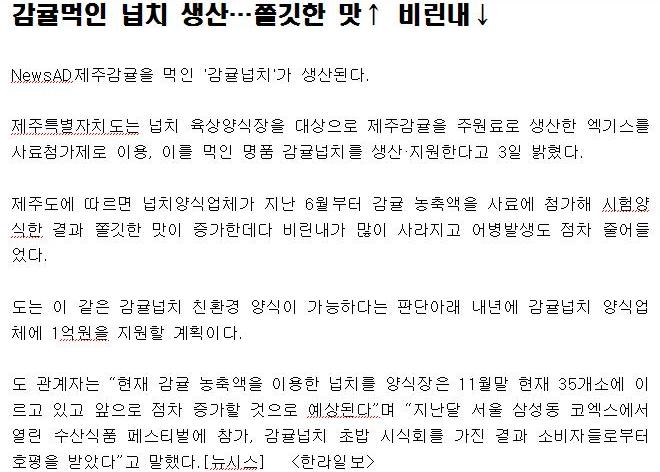 감귤,넙치 명품브랜드화 추진(12/03)
