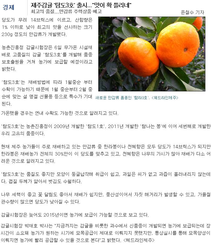 제주감귤 '탐도3호' 출시 ...