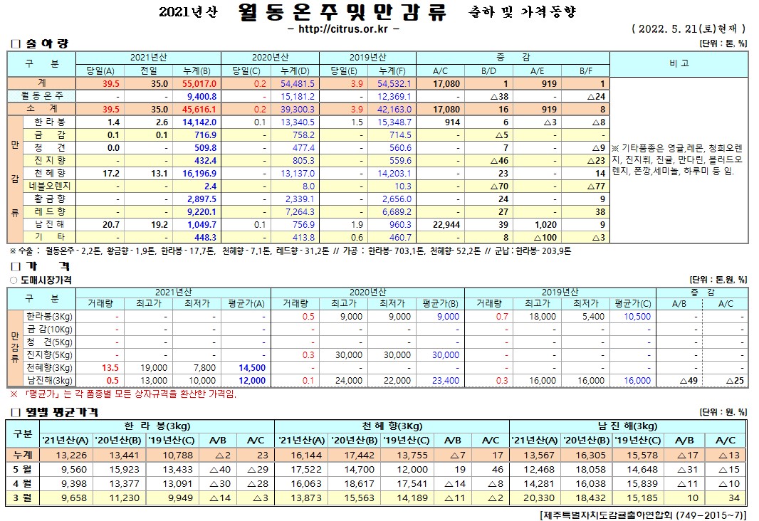 [월동&만감]2021년산 출하 및 가격동향(5/21)