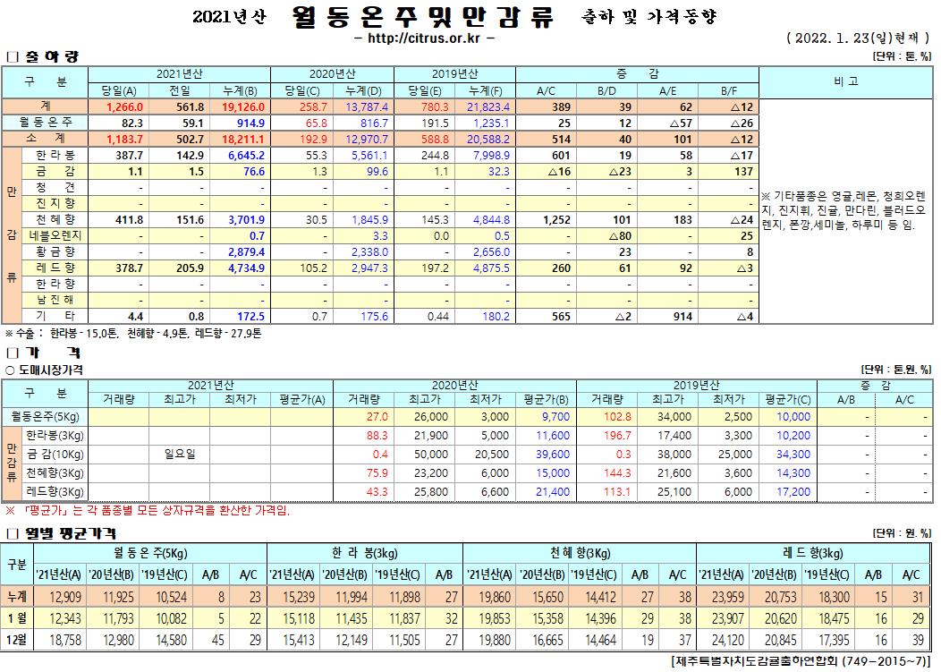 [월동&만감]2021년산 출하 및 가격동향(1/23)