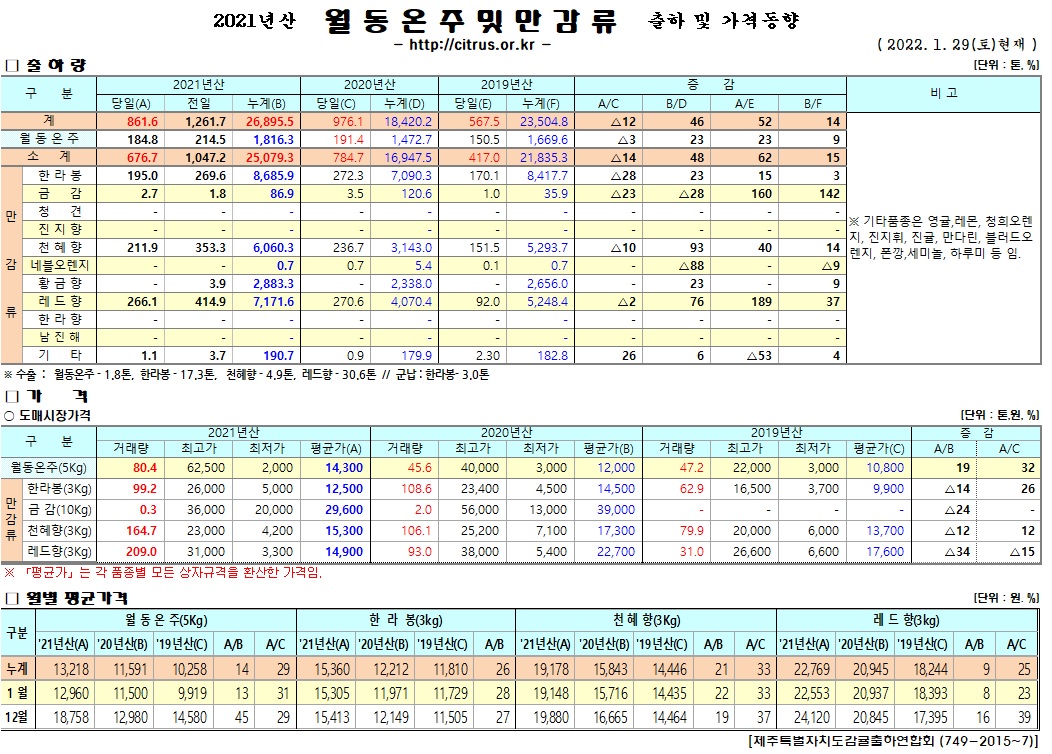 [월동&만감]2021년산 출하 및 가격동향(1/29)