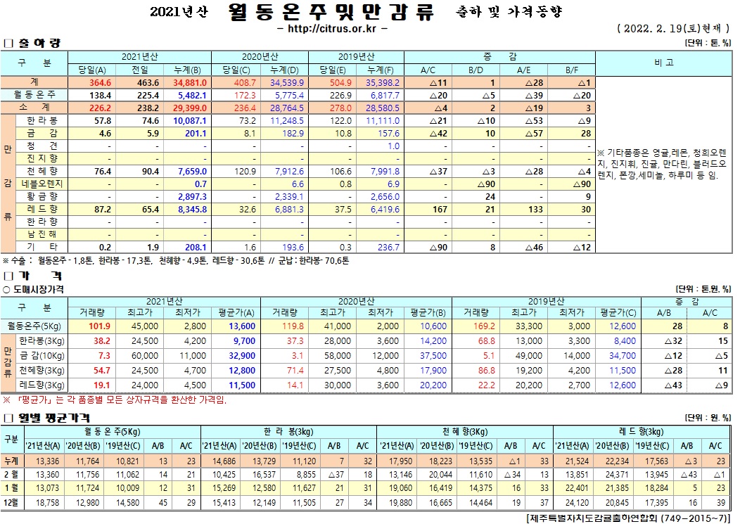 [월동&만감]2021년산 출하 및 가격동향(2/19)