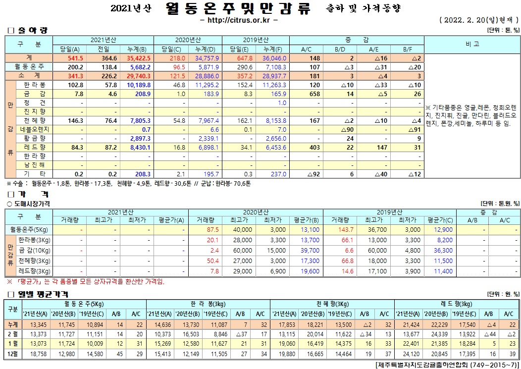 [월동&만감]2021년산 출하 및 가격동향(2/20)