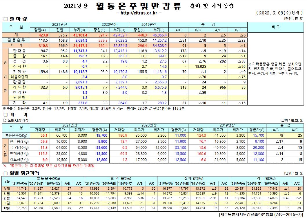 [월동&만감]2021년산 출하 및 가격동향(3/09)