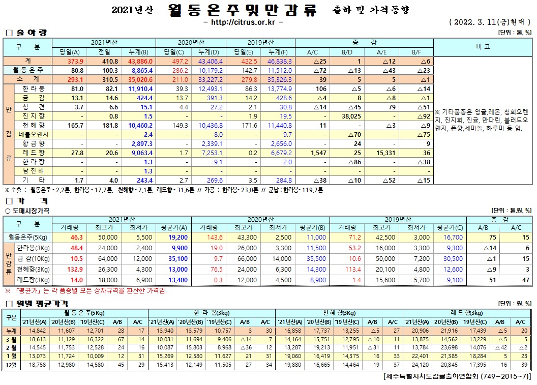 [월동&만감]2021년산 출하 및 가격동향(3/11)