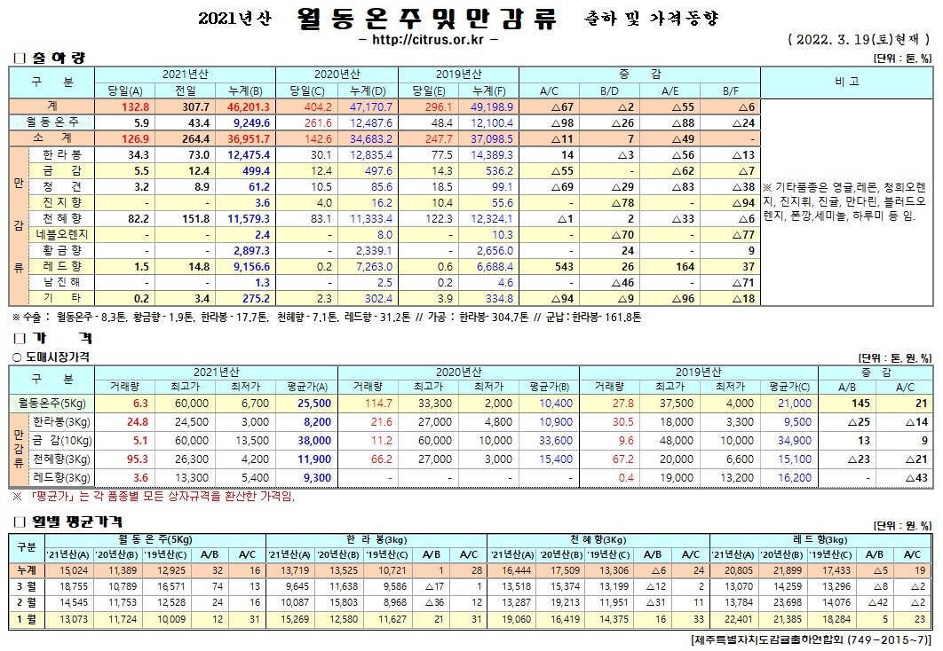 [월동&만감]2021년산 출하 및 가격동향(3/19)
