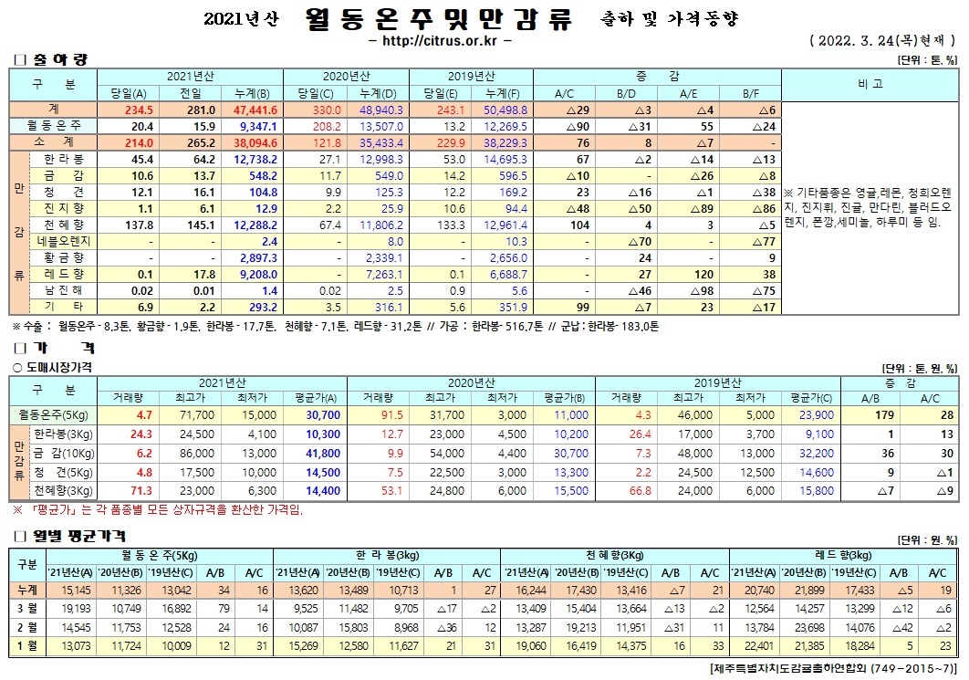 [월동&만감]2021년산 출하 및 가격동향(3/24)