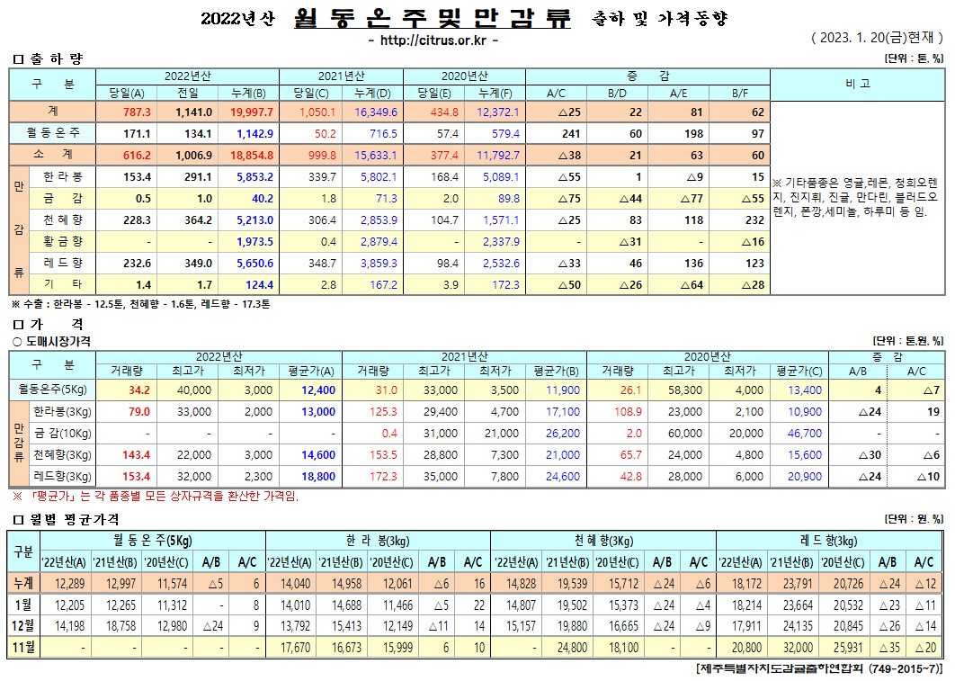 [월동&만감]2022년산 출하 및 가격동향(1/20)