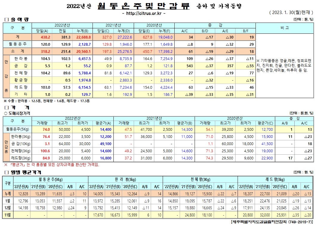 [월동&만감]2022년산 출하 및 가격동향(1/30)