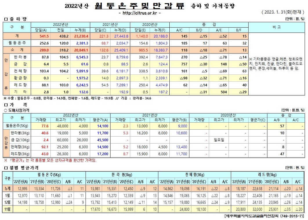 [월동&만감]2022년산 출하 및 가격동향(1/31)