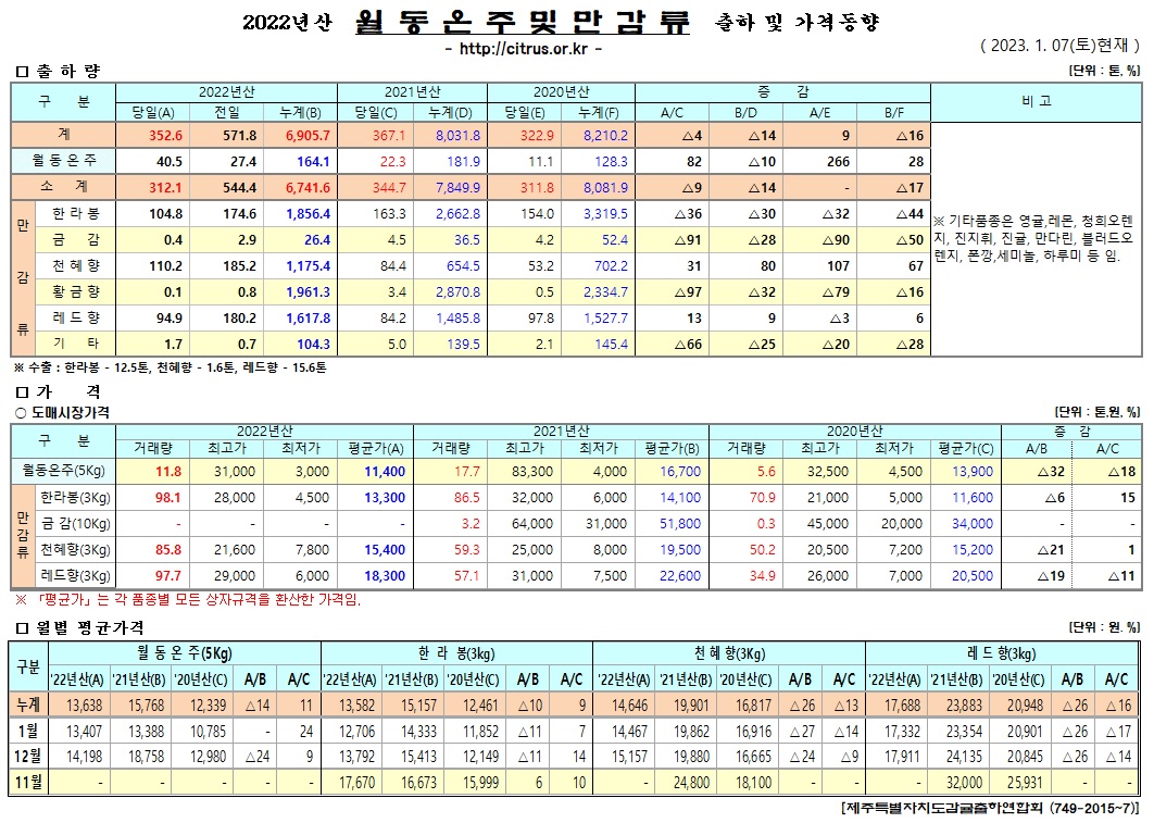 [월동&만감]2022년산 출하 및 가격동향(1/07)