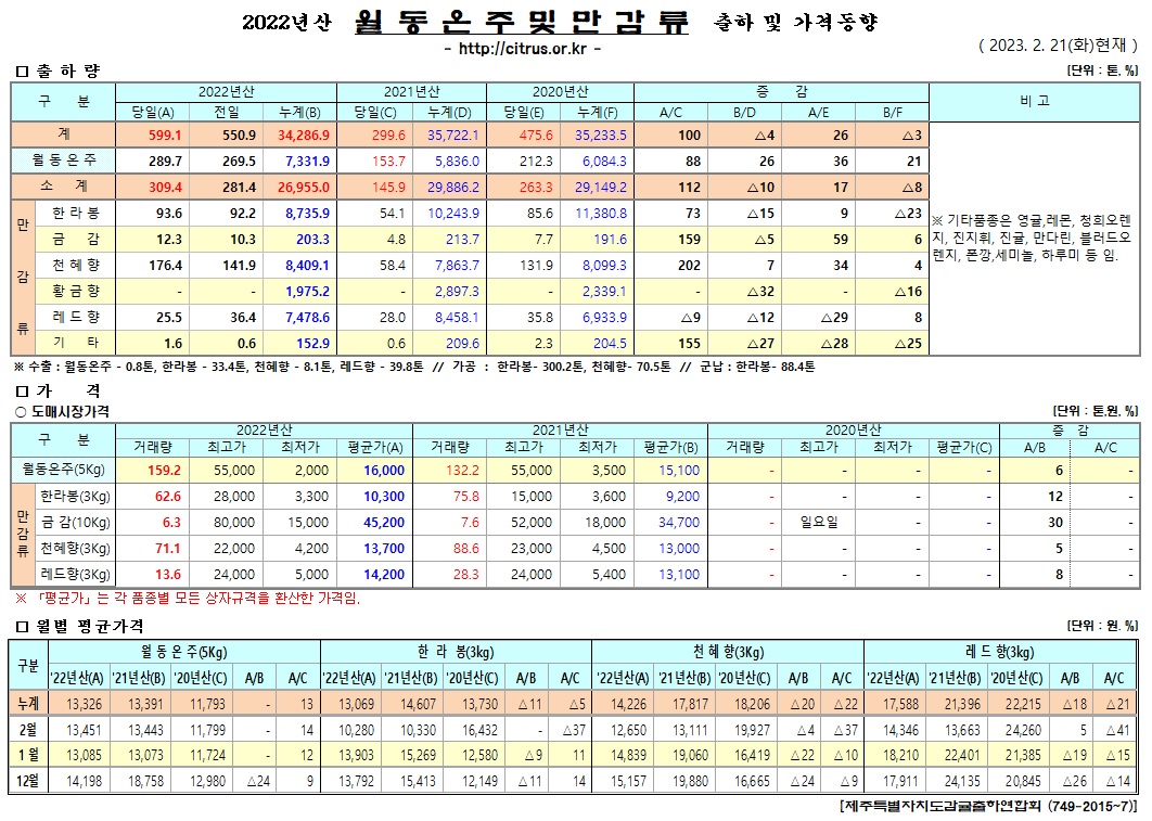 [월동&만감]2022년산 출하 및 가격동향(2/21)