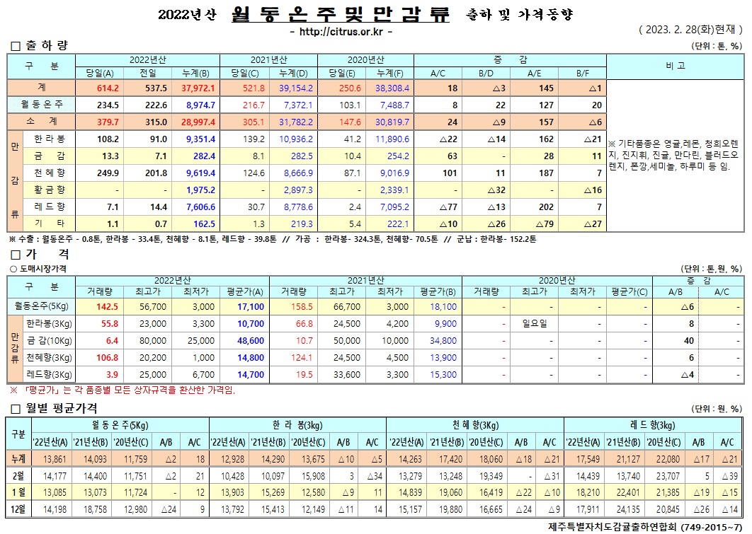 [월동&만감]2022년산 출하 및 가격동향(2/28)