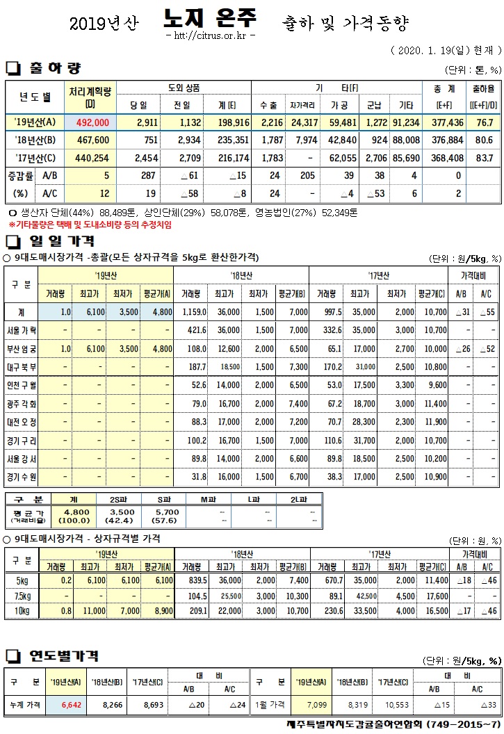 [노지온주]2019년산 출하 및 가격동향(1/19)