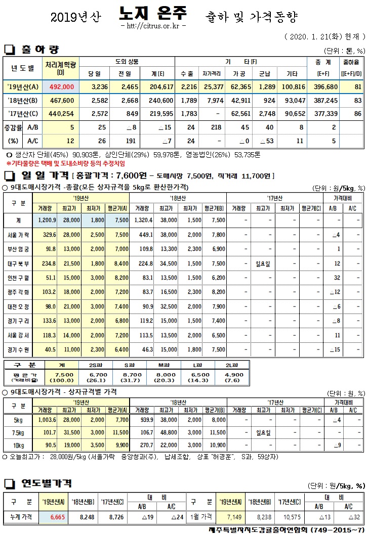 [노지온주]2019년산 출하 및 가격동향(1/21)